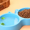 Cat Pets Feed Double Plastic Rounded Bowl