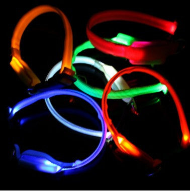 LED Nylon Light-up Flashing Leash Glow for Dogs